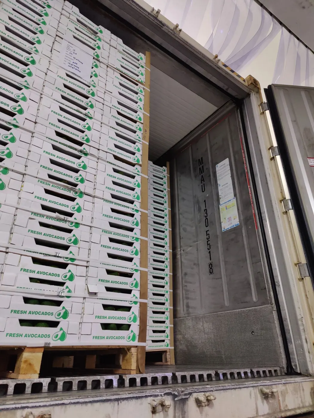 Palletised avocado cartons loaded in a refrigerated container